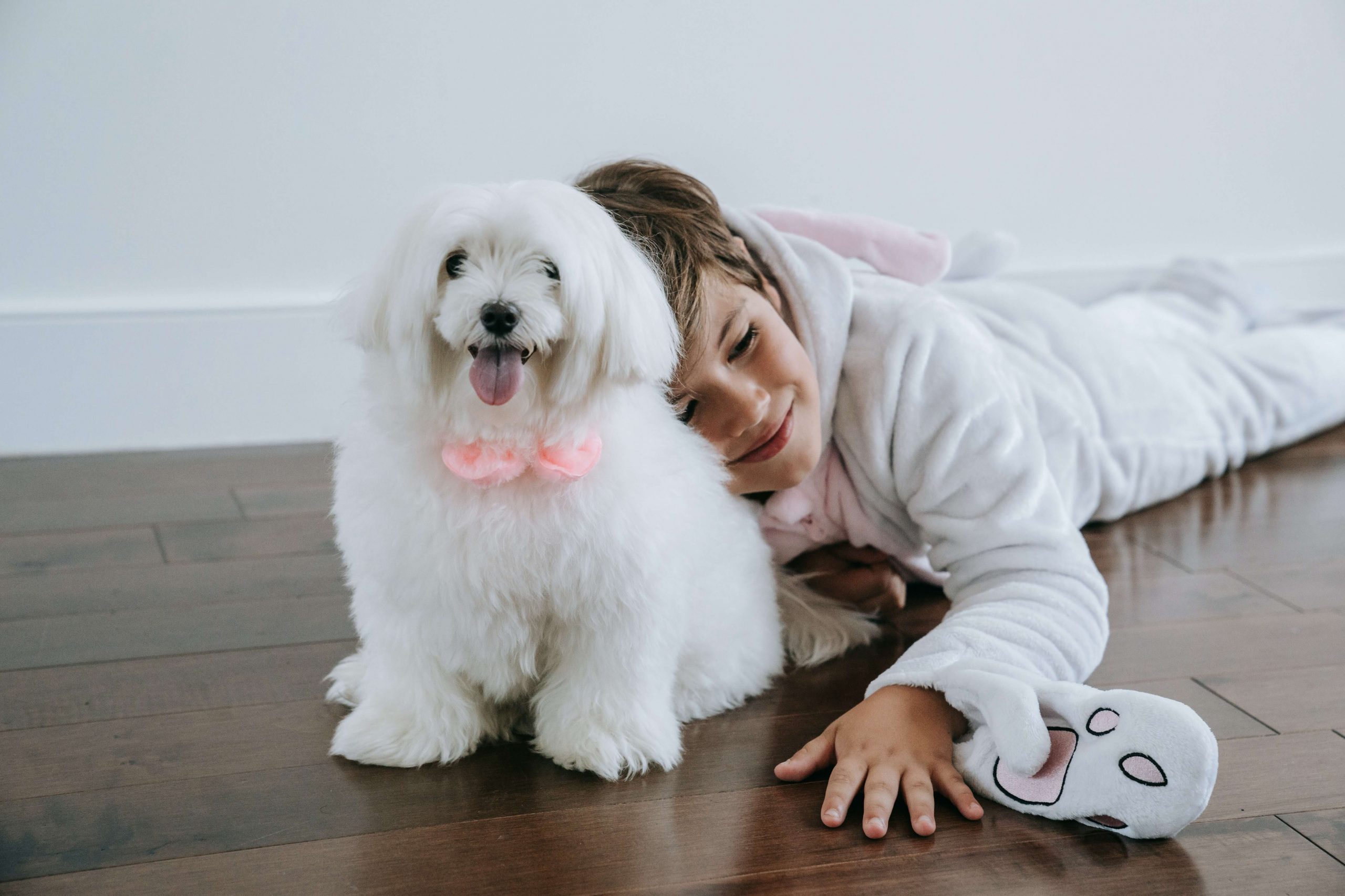 Top 9 Family-Friendly Pets: Choosing the Perfect Companion for Your Kids