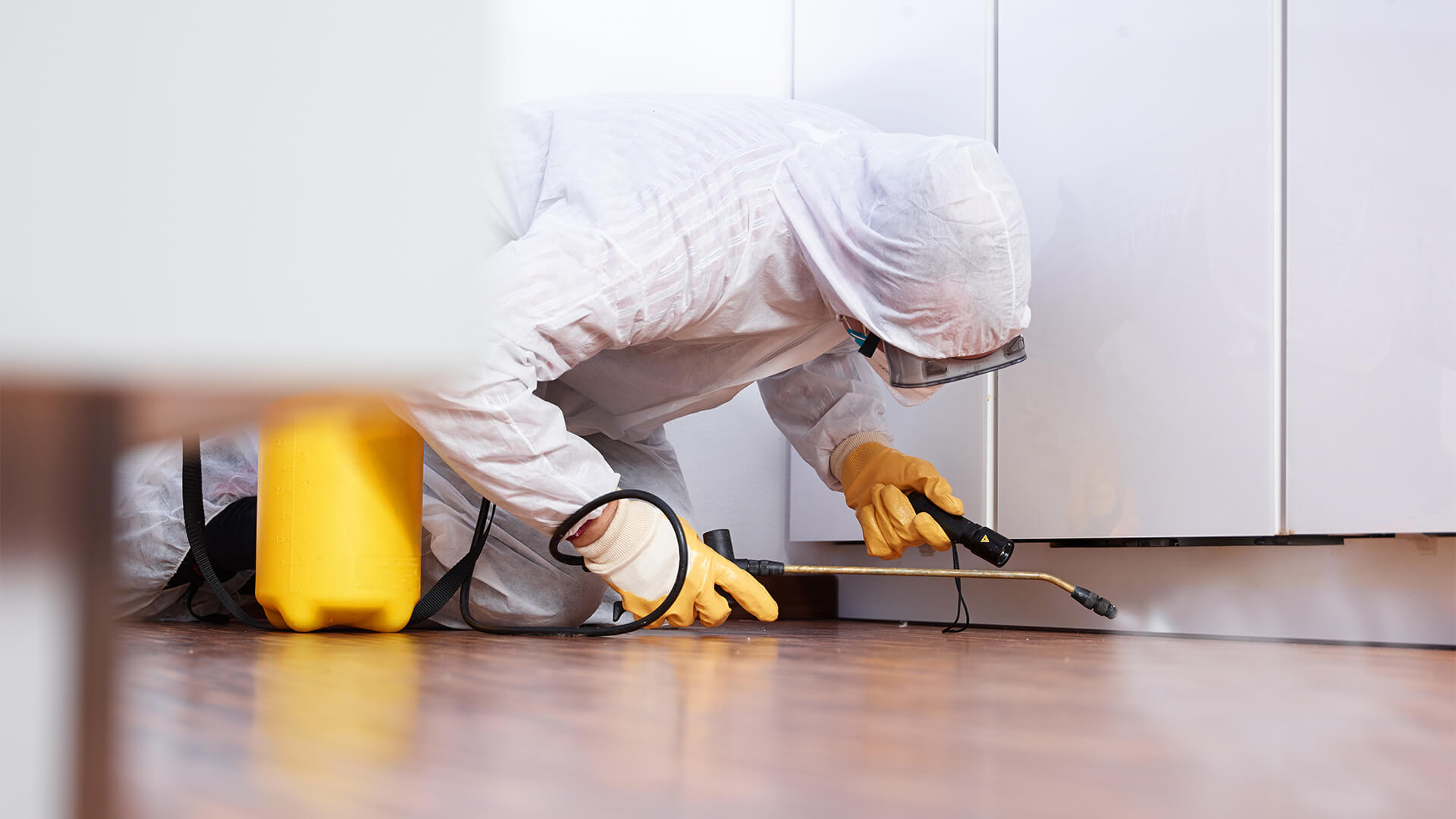Why Pest Control Services Are Vital in the UK