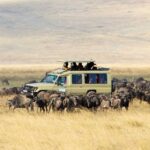 Serengeti National Park Tourism: All You Need to Know