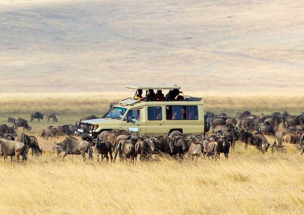 Serengeti National Park Tourism: All You Need to Know