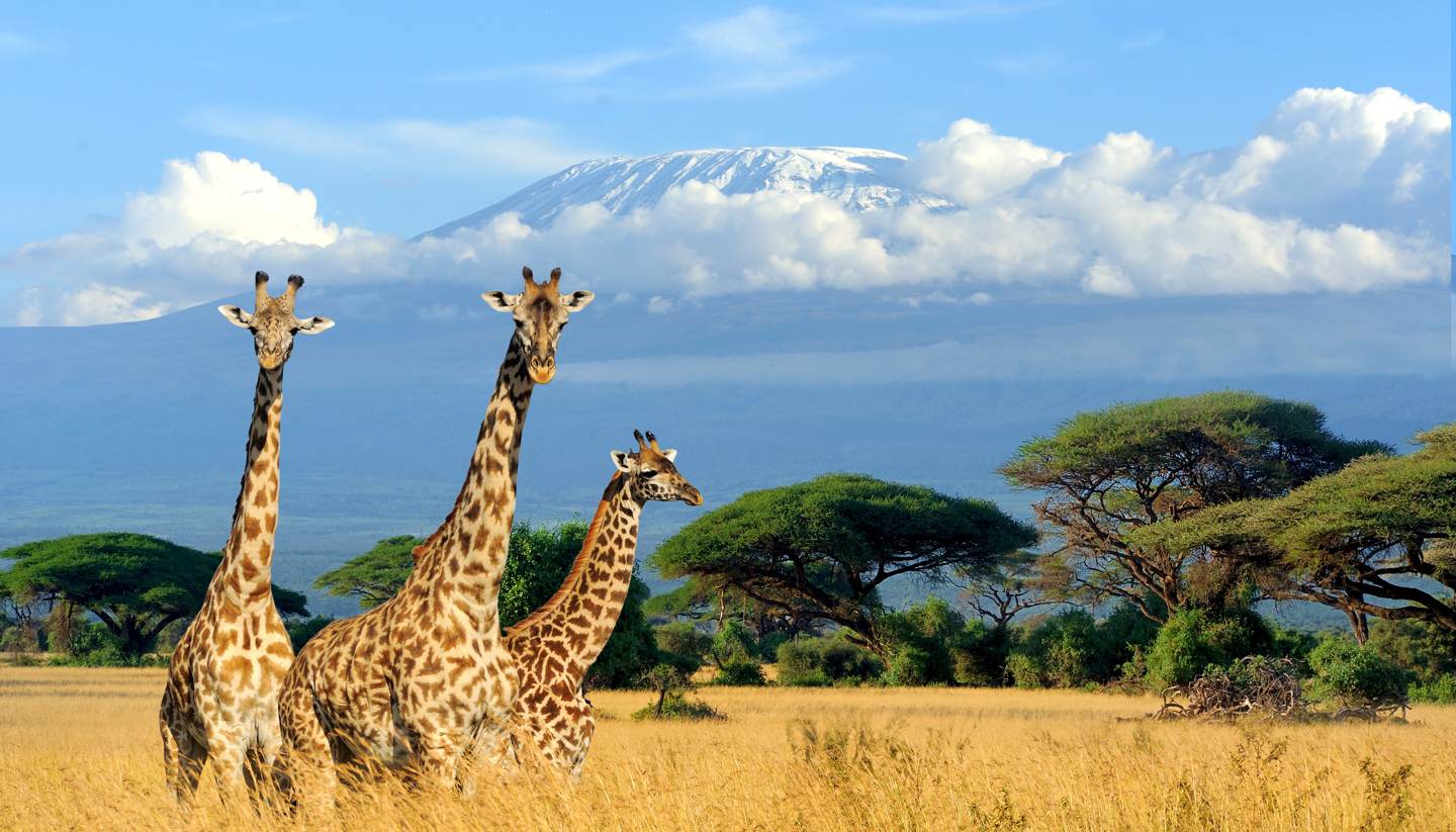 Kenya Tourism: All You Need to Know Before You Go (2025)